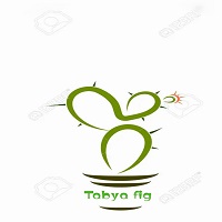 SARL TABYA FIG